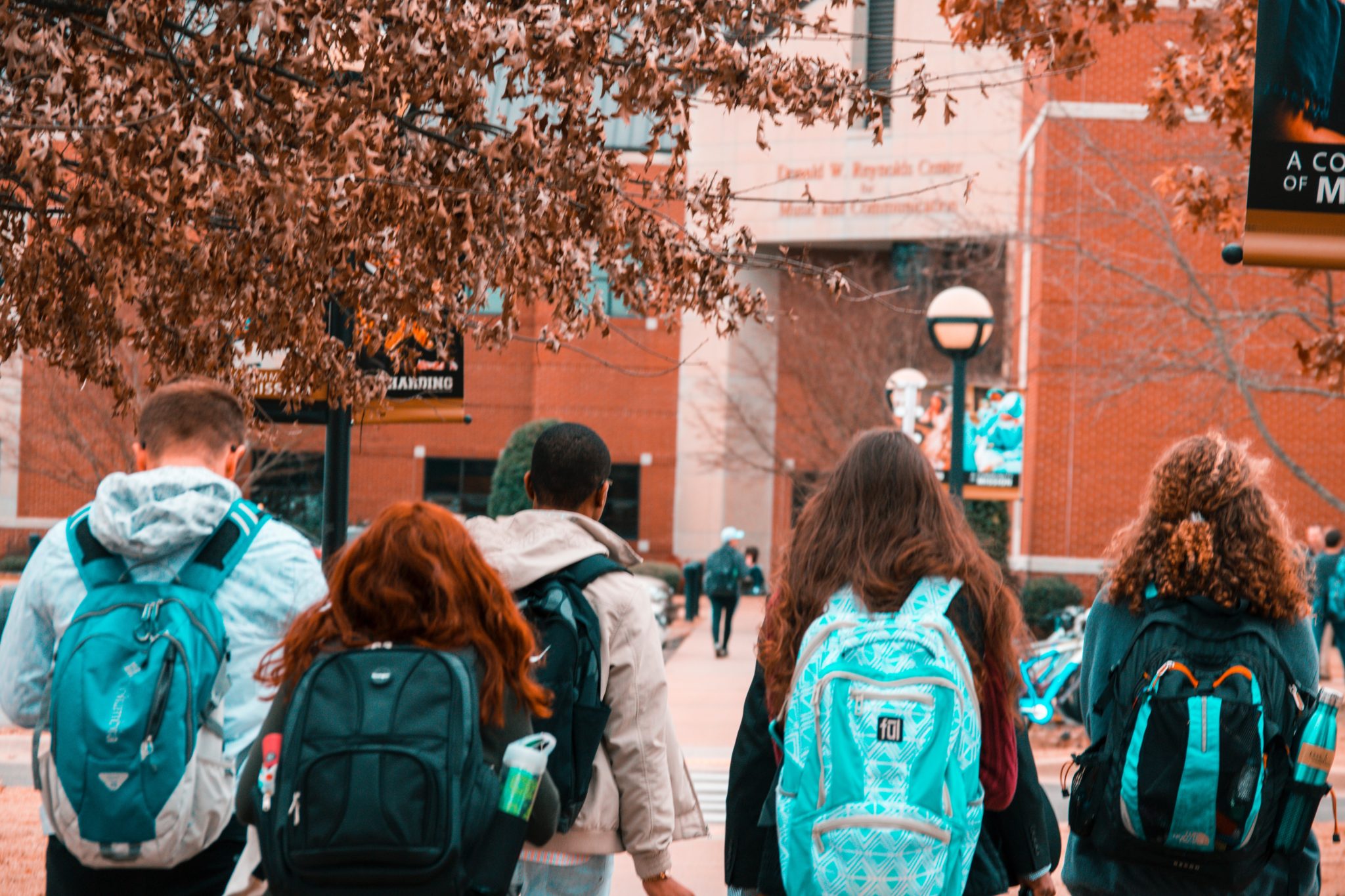 Student loan interest limits